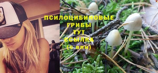 дмт Абаза