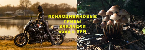 дмт Абаза